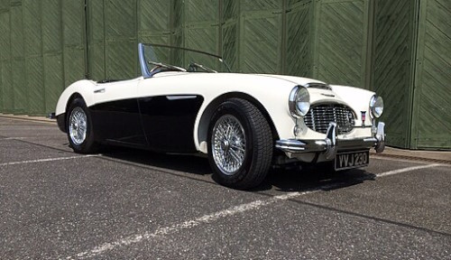 Austin-Healey 3000: The British Beast